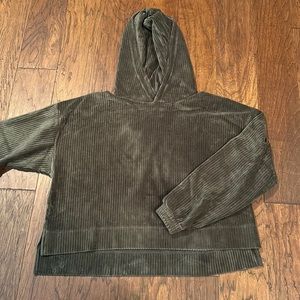 Aerie Green Velour Cropped Hooded Sweatshirt